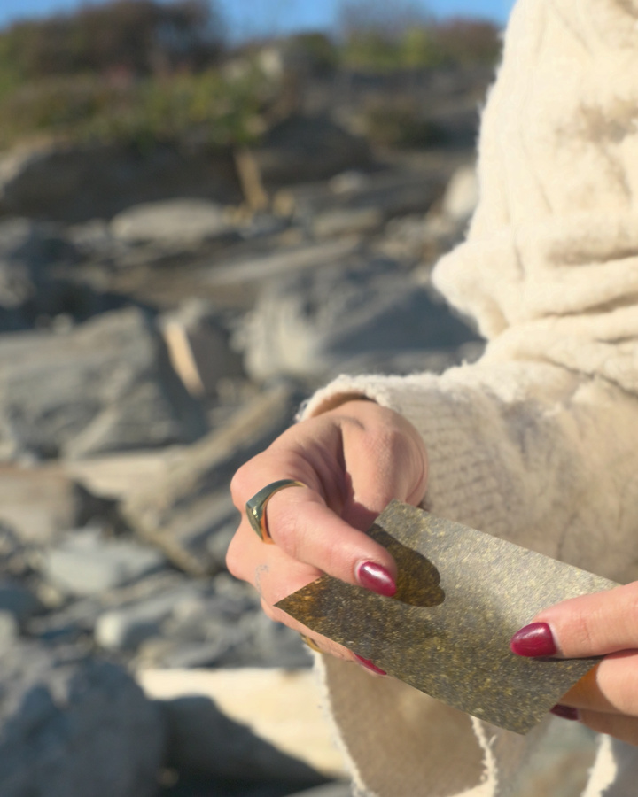 A mottled olive-green paper sheet held between fingers in coastal light.